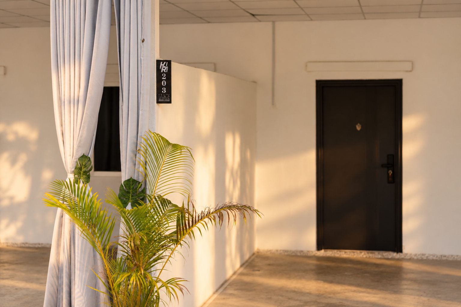 Green plants beside a guest-room walkway